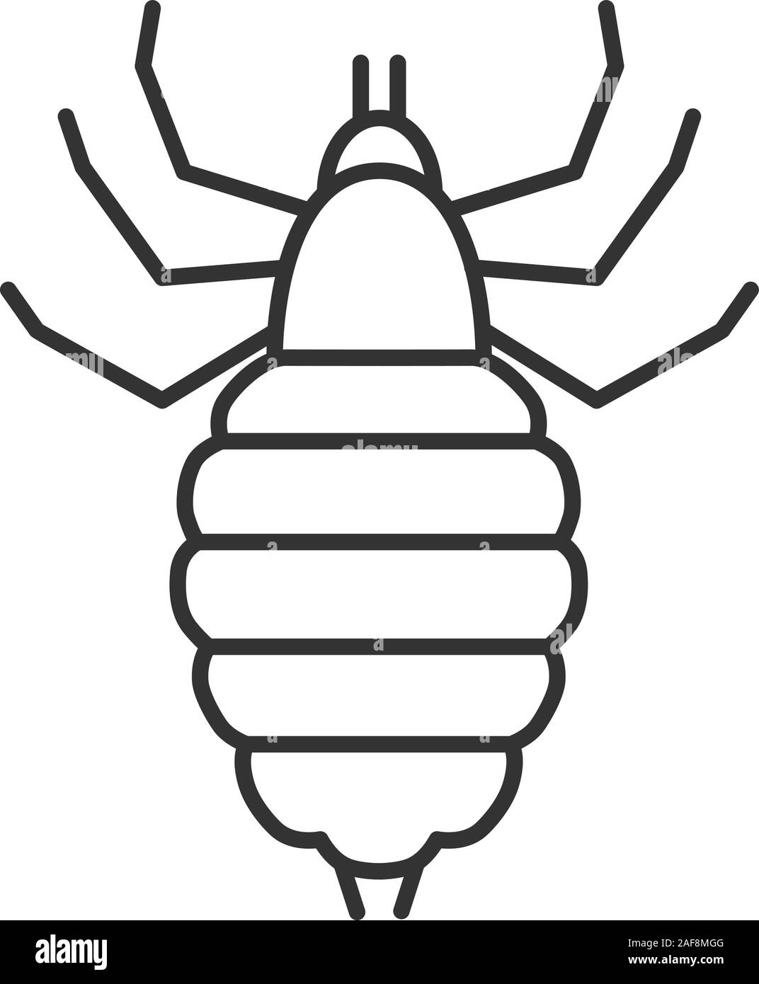 Laus lineare Symbol. Dünne Linie Abbildung. Menschliche Parasiten. Kontur Symbol. Vektor isoliert Maßbild Stock Vektor