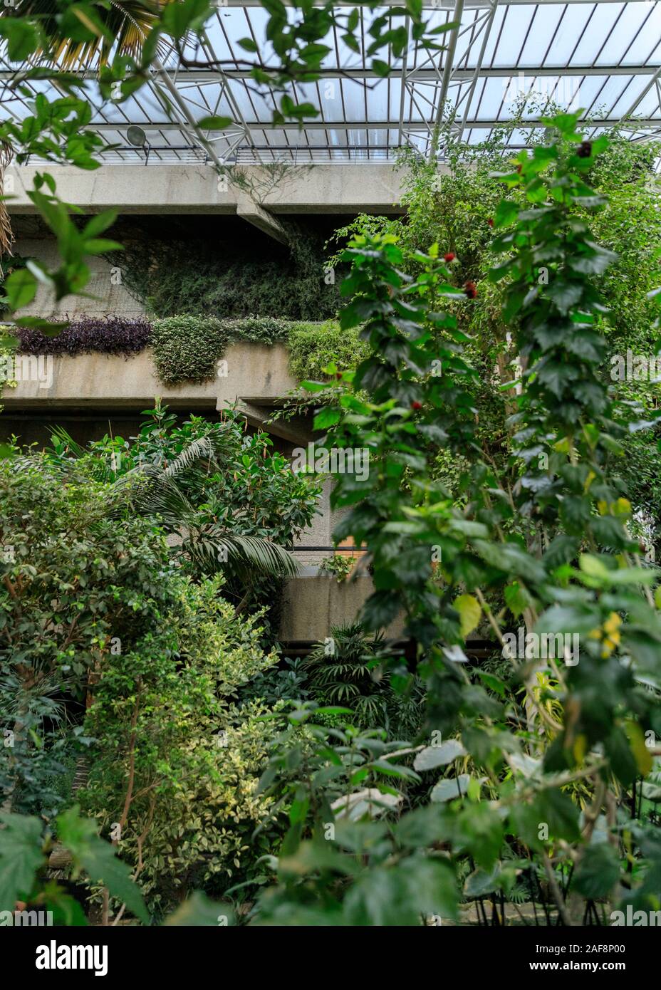 59+ Welche Pflanzen Für Exotischen Garten In Der Casamance, Es ist
