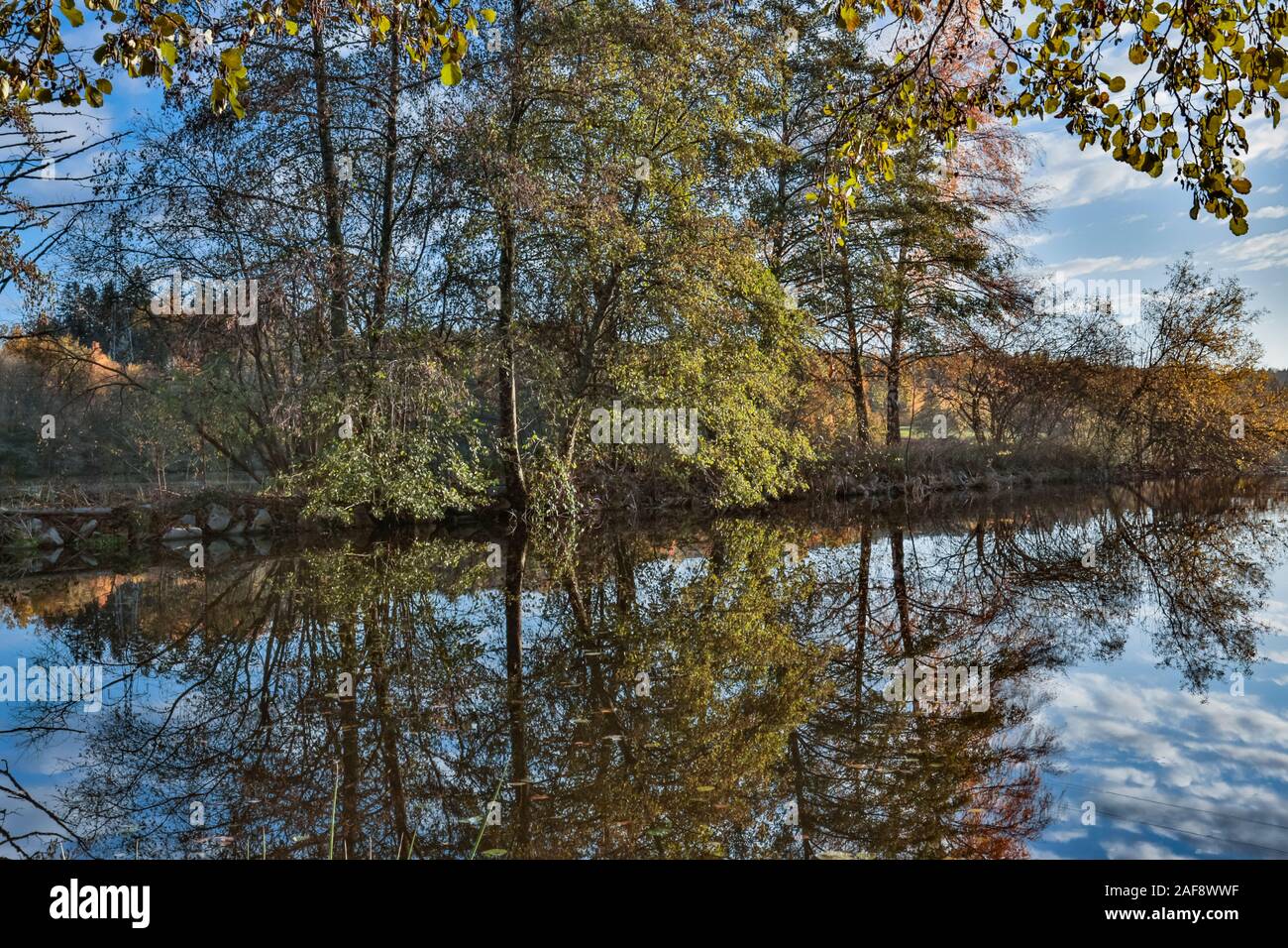 Herbst Licht und See, Auvergne, Frankreich. Stockfoto