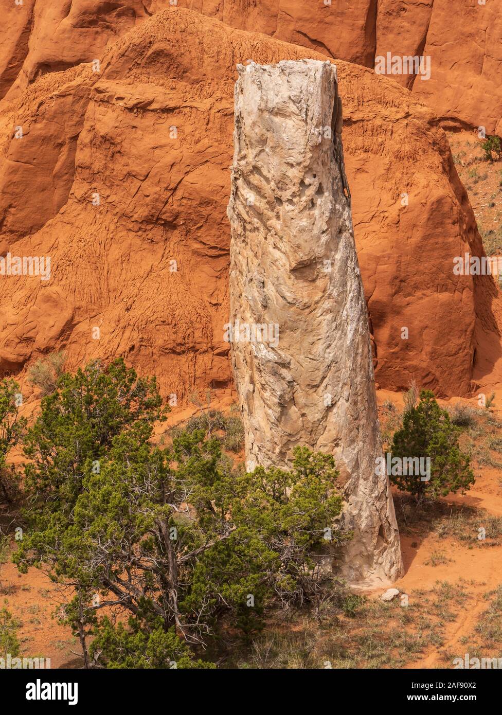 Spire in Grand Parade Trail von Angel's Palace Trail, Kodachrome Basin State Park, Cannonville, Utah. Stockfoto