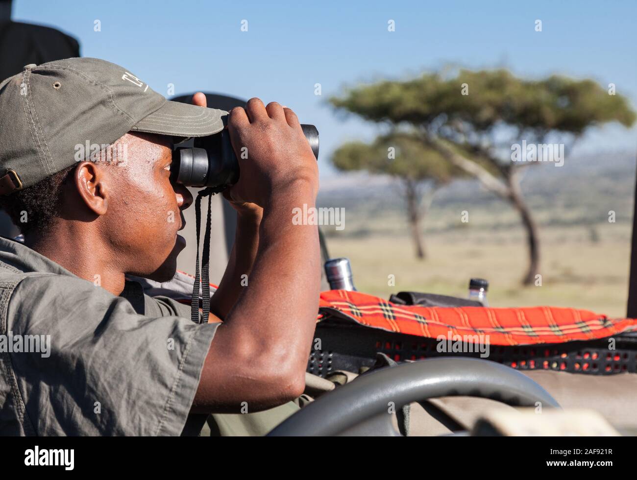 Tansania. Spiel Spotter Kontrolle für Spiel auf die nördliche Serengeti Plain. Stockfoto