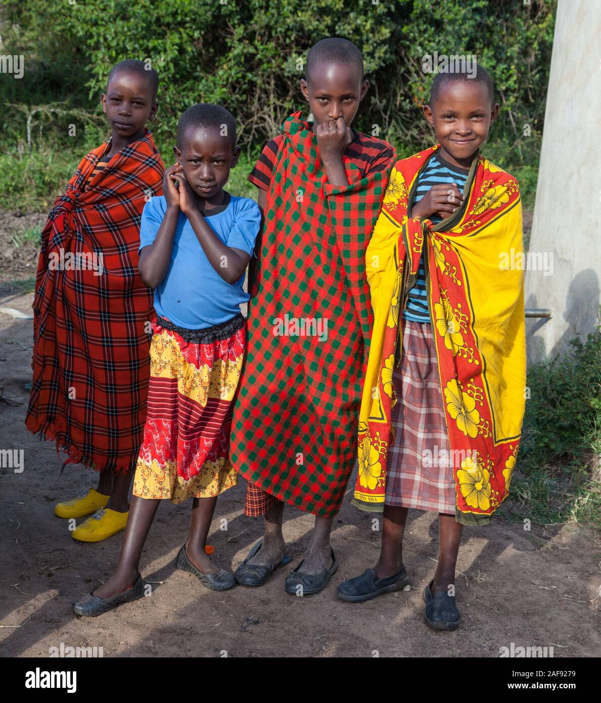 Tansania. Junge Maasai Jungen, Ololosokwan Dorf, nördliche Serengeti. Stockfoto