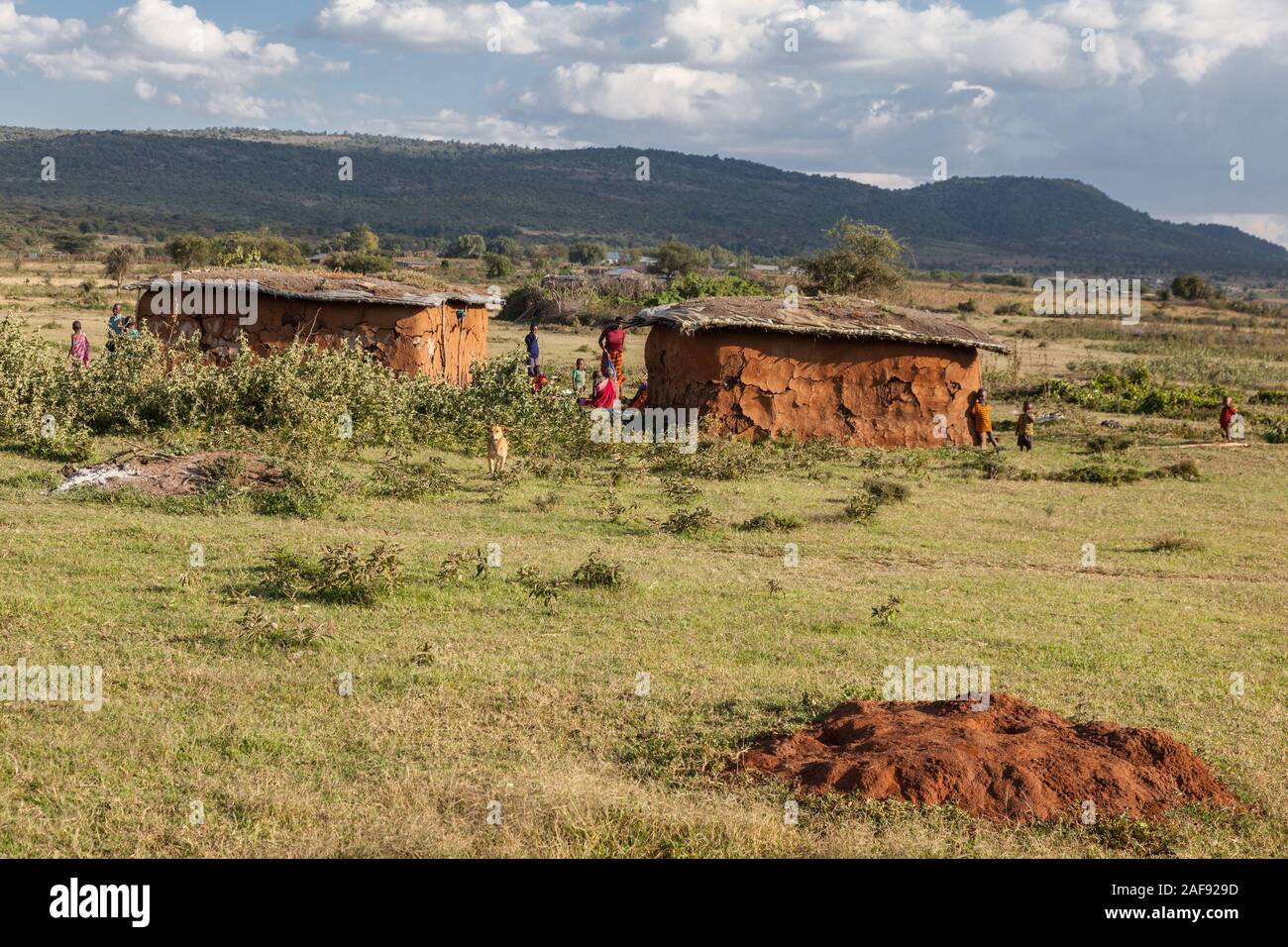 Tansania. Zwei Häuser in Masai Dorf Ololosokwan, nördliche Serengeti. Stockfoto