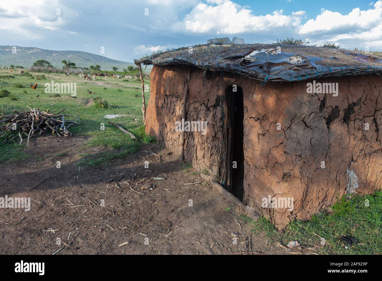 Tansania. Maasai Haus im Dorf von Ololosokwan, nördliche Serengeti. Stockfoto