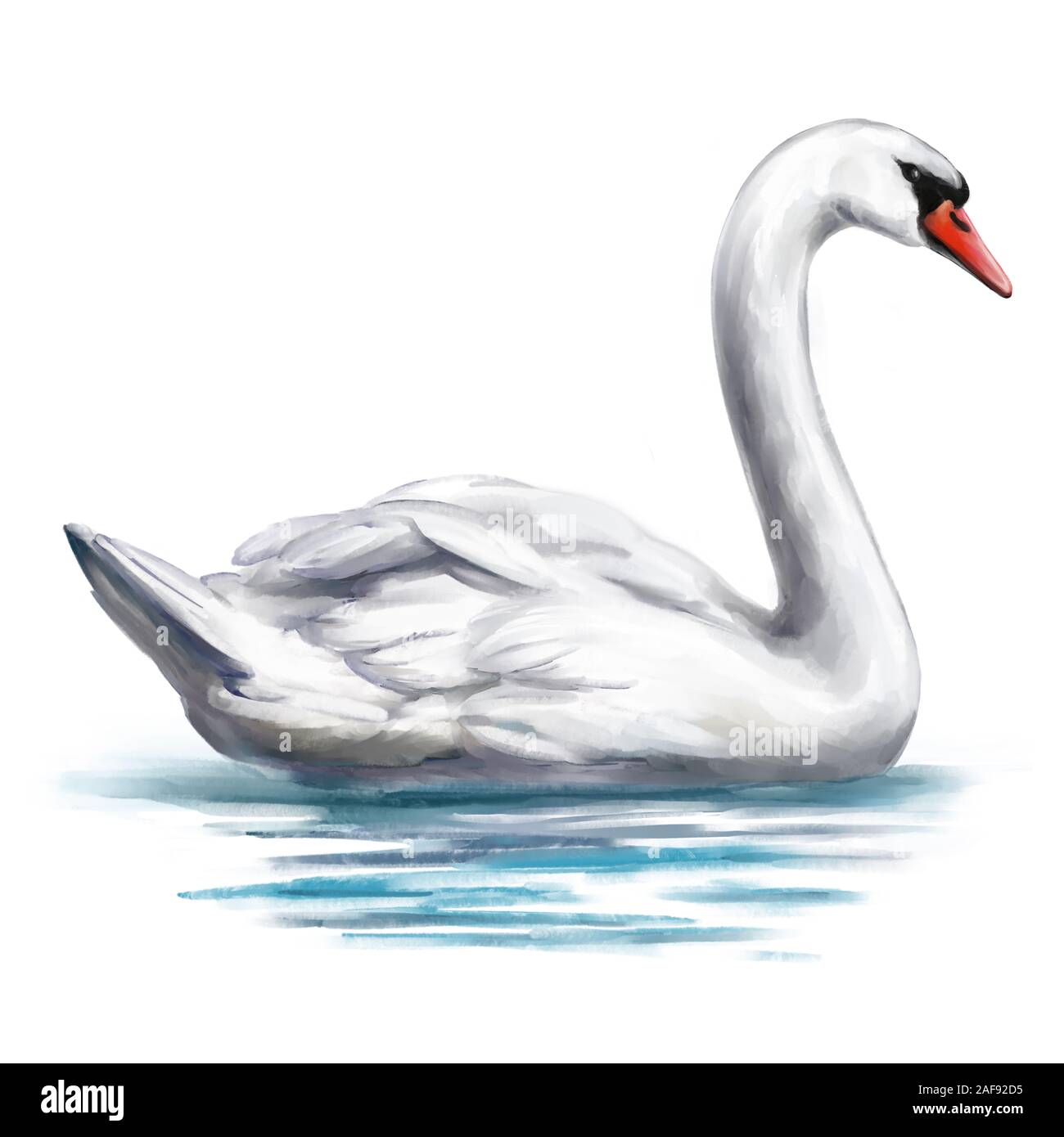 White Swan Vogel auf dem Teich, Art Illustration mit Aquarell auf weißem Hintergrund gemalt. Stockfoto White Swan Vogel auf dem Teich, Art Illustration mit Aquarell auf weißem Hintergrund gemalt. Stockfoto