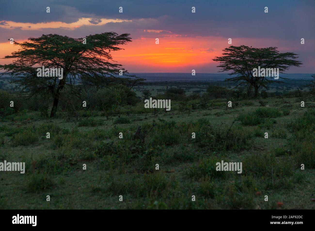 Tansania. Sonnenuntergang über die nördliche Serengeti. Stockfoto