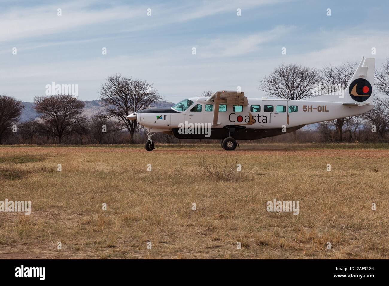 Tansania. Küsten Airline Flugzeug Landung in Lobo Landebahn, Serengeti National Park. Stockfoto