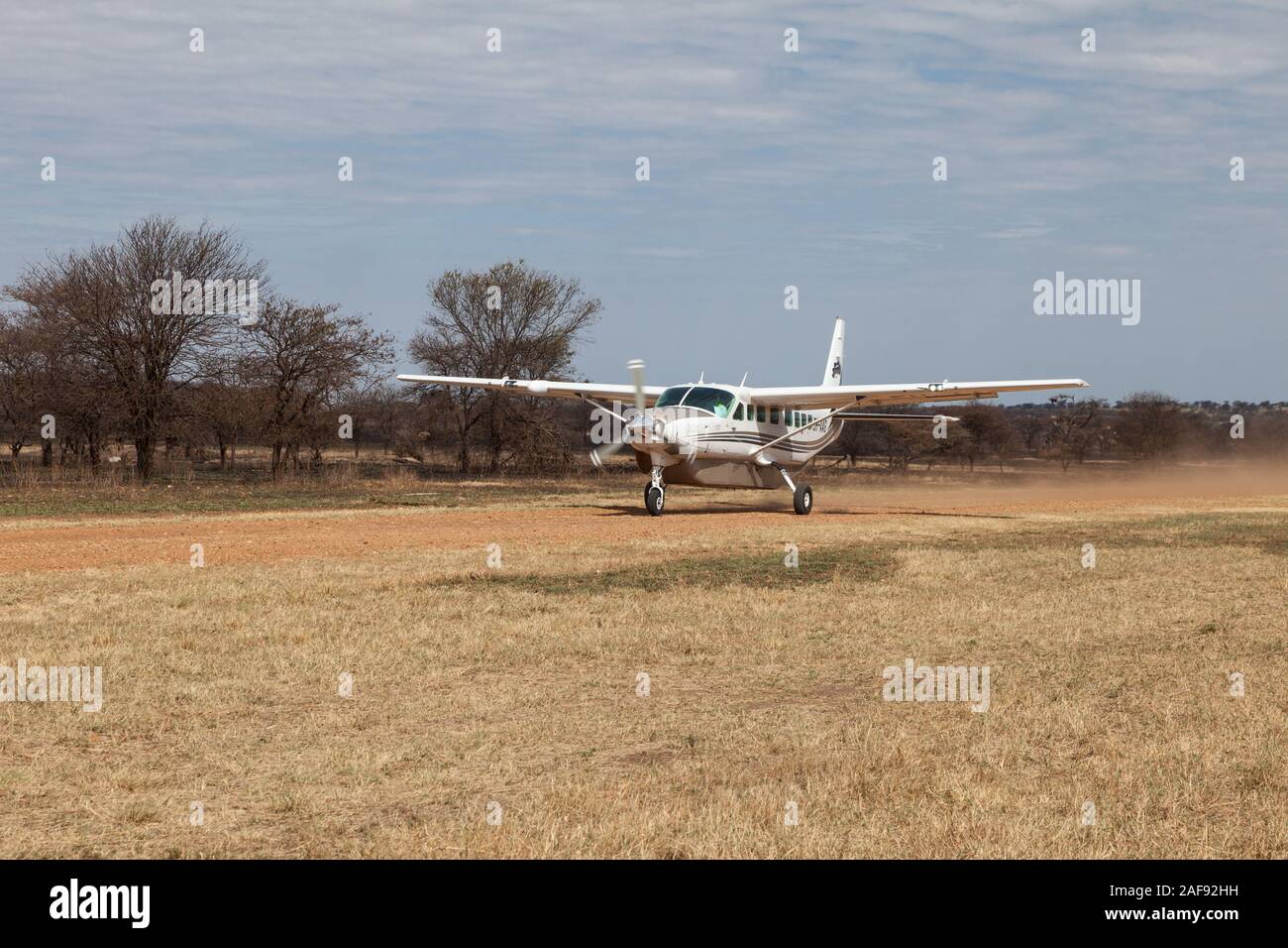 Tansania. Flugzeuge vom Lobo Landebahn, Serengeti National Park. Stockfoto