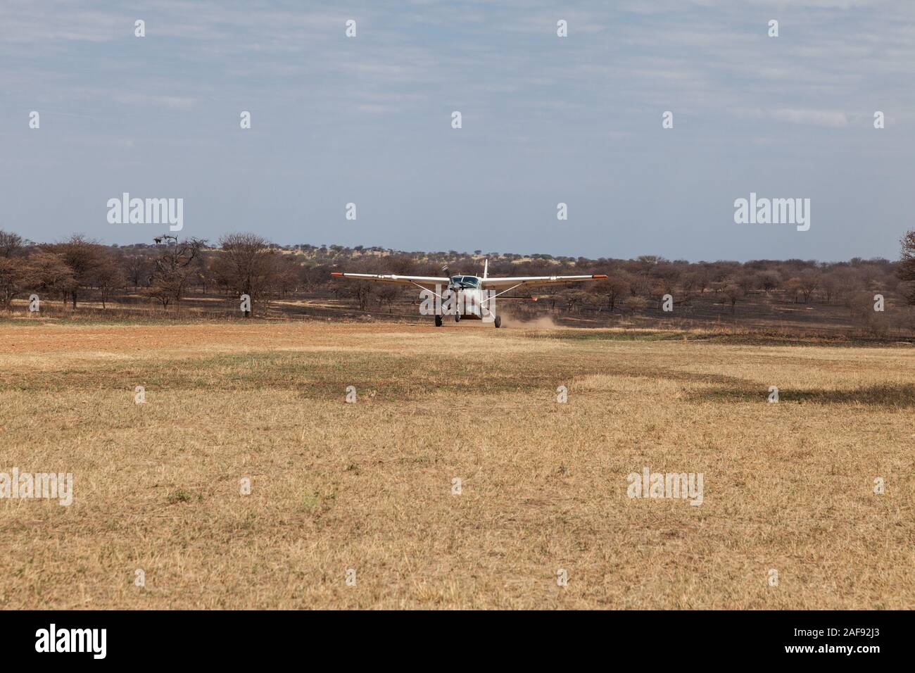 Tansania. Flugzeuge landen in Lobo Landebahn, Serengeti National Park. Stockfoto