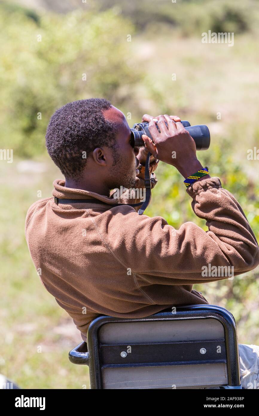 Tansania. Serengeti Spiel Spotter auf der Suche nach Spiel mit dem Fernglas. Stockfoto