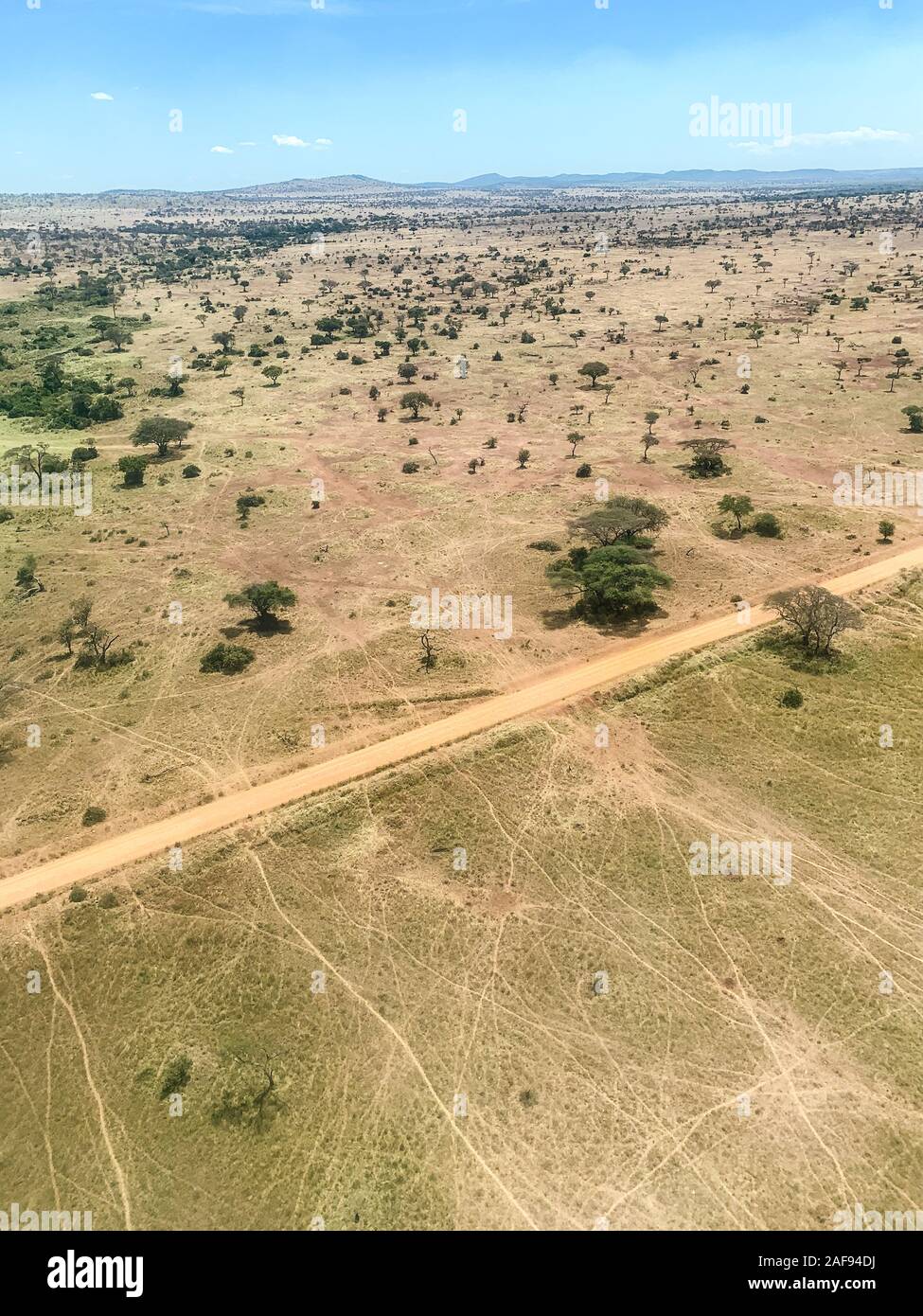 Tansania. Serengeti Plain aus der Luft. Stockfoto