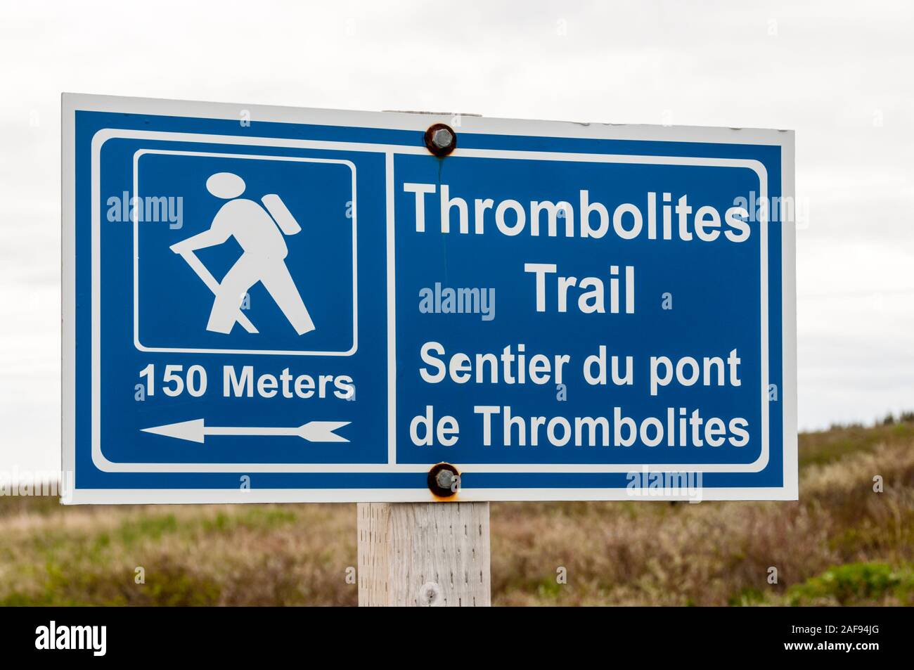 Zweisprachige Wegweiser für die Thrombolites Wanderweg bei Blumen Cove, Neufundland. Stockfoto