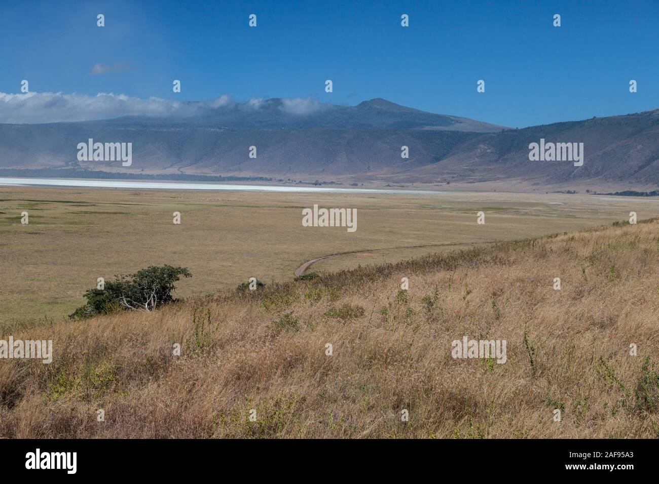 Tansania. Ngorongoro. Malerische Aussicht über die Caldera, Trocken Salz See in der Ferne. Stockfoto