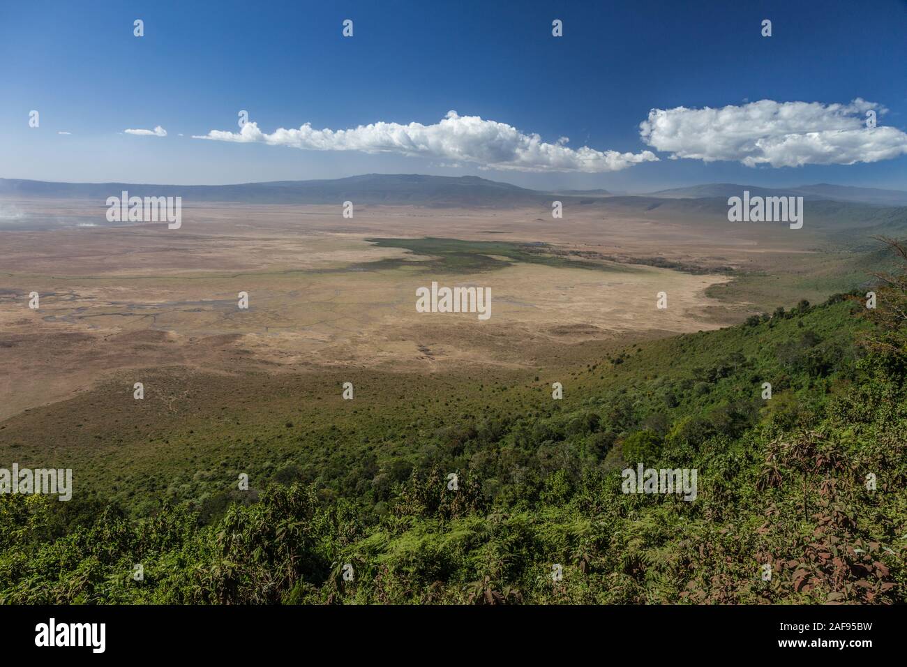 Tansania. Ngorongoro Krater Caldera malerischen Blick von der Felge. Stockfoto