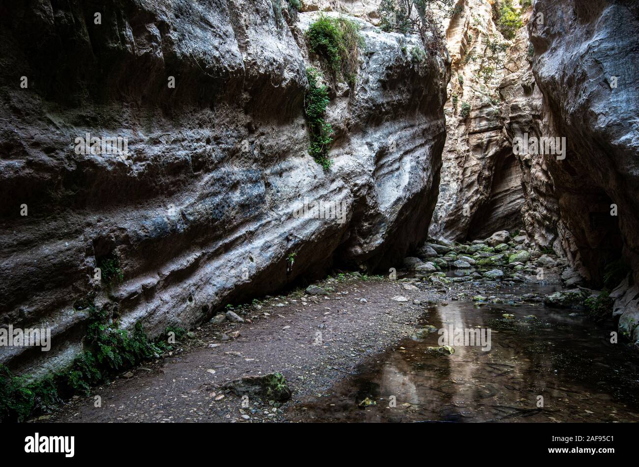 Die berühmten, schönen und malerischen Avakas Schlucht bei Halbinsel Akamas, Paphos district in Zypern Stockfoto
