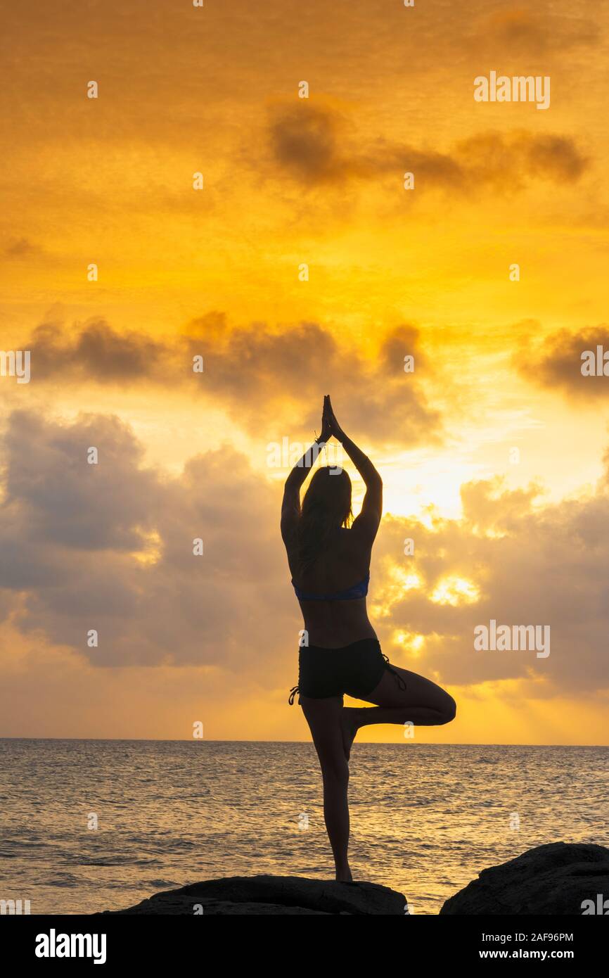 Eine junge Frau in einem Yoga Asana Schuß gegen den Ozean und einem goldenen Sunscape Stockfoto