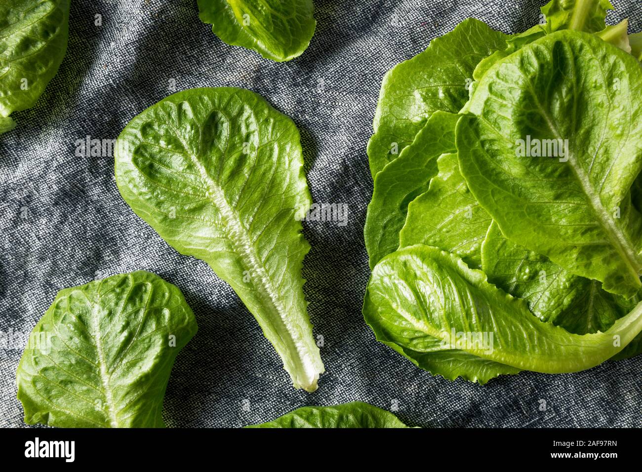 Raw Green Organic Romaine Blätter bereit zu Essen Stockfoto