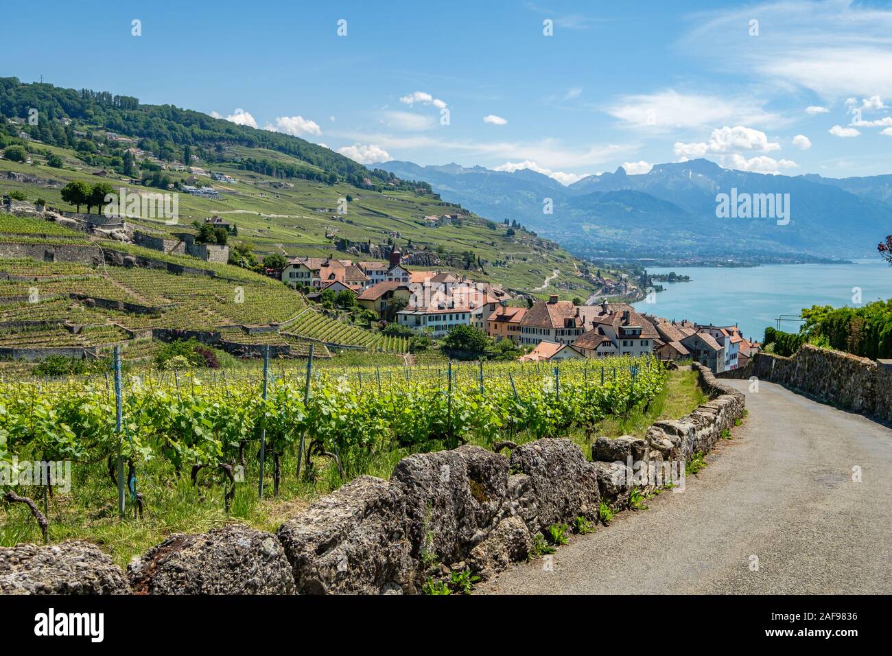 Blick auf einem kleinen Weingut Dorf namens Rivaz, im wunderschönen Lavaux Winery, einem UNESCO-geschützten Bereich, in der Schweiz Stockfoto