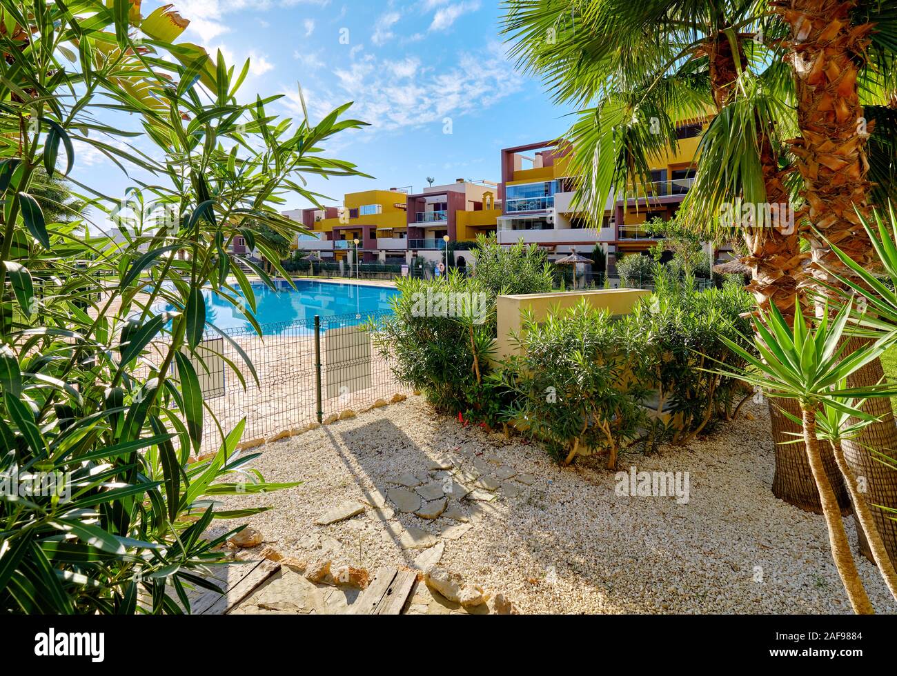 Luxuriöse Wohnhäuser mehrfarbige Wohnungen durch üppige tropische Pflanzen Blätter, öffentliche Sicht auf den Swimmingpool am sonnigen Tag. Torrevieja, Spanien Stockfoto