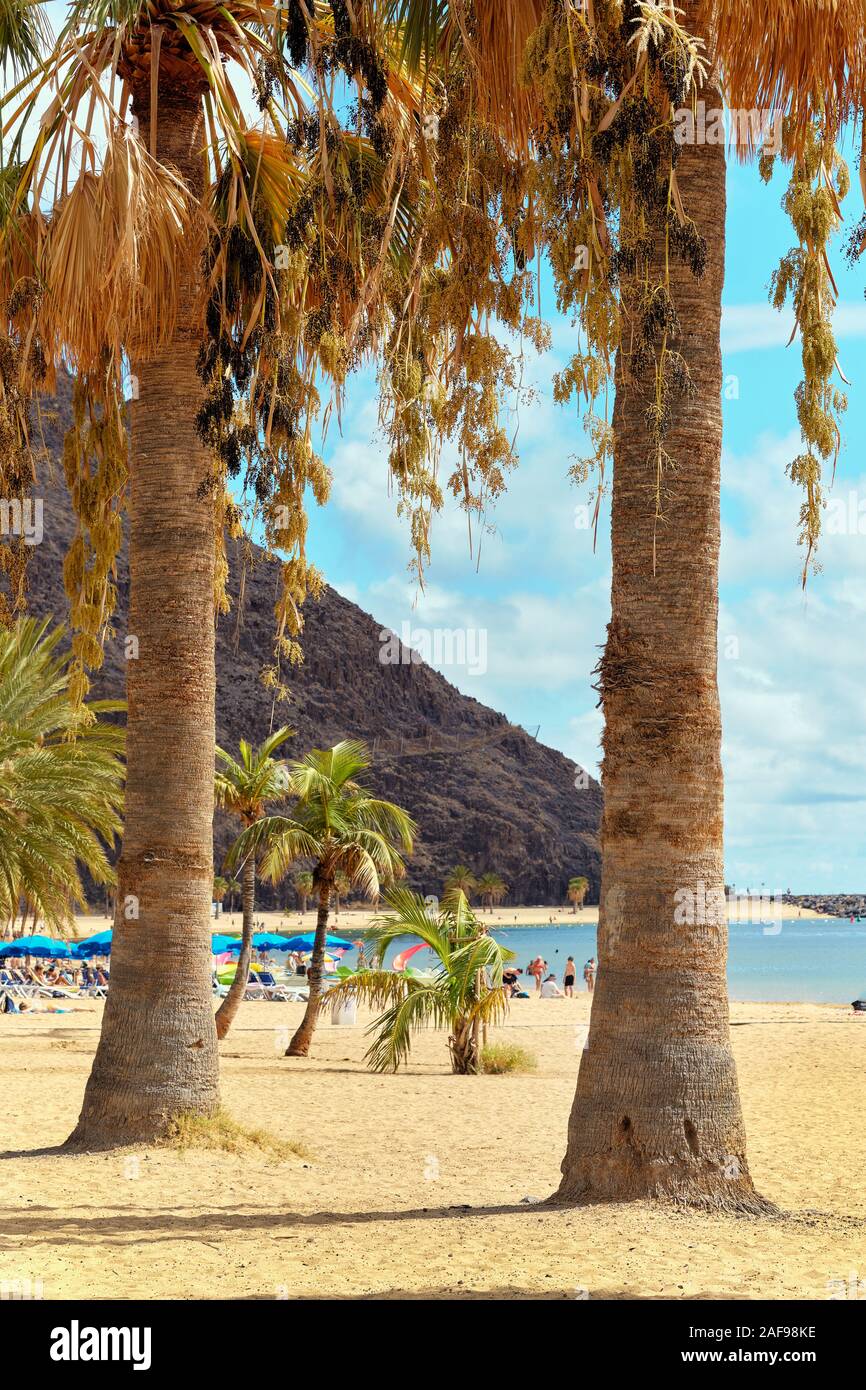 Die Menschen sonnen sich auf den sandigen, malerischen Strandpalmen, die von Playa de Las Teresitas gesäumt sind, und genießen die Aussicht auf warmes Wetter und atlantisches Ozeanwasser auf Teneras Stockfoto