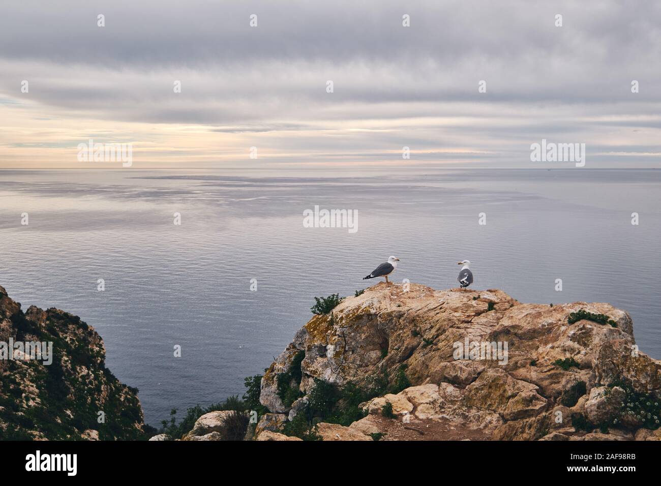 Zwei Möwen am Rande des Kalkbergs, keine Menschen, malerischer Blick auf das Mittelmeer und den bewölkten Himmel, Naturpark Penyal d'Ifac, Calpe, Spanien Stockfoto