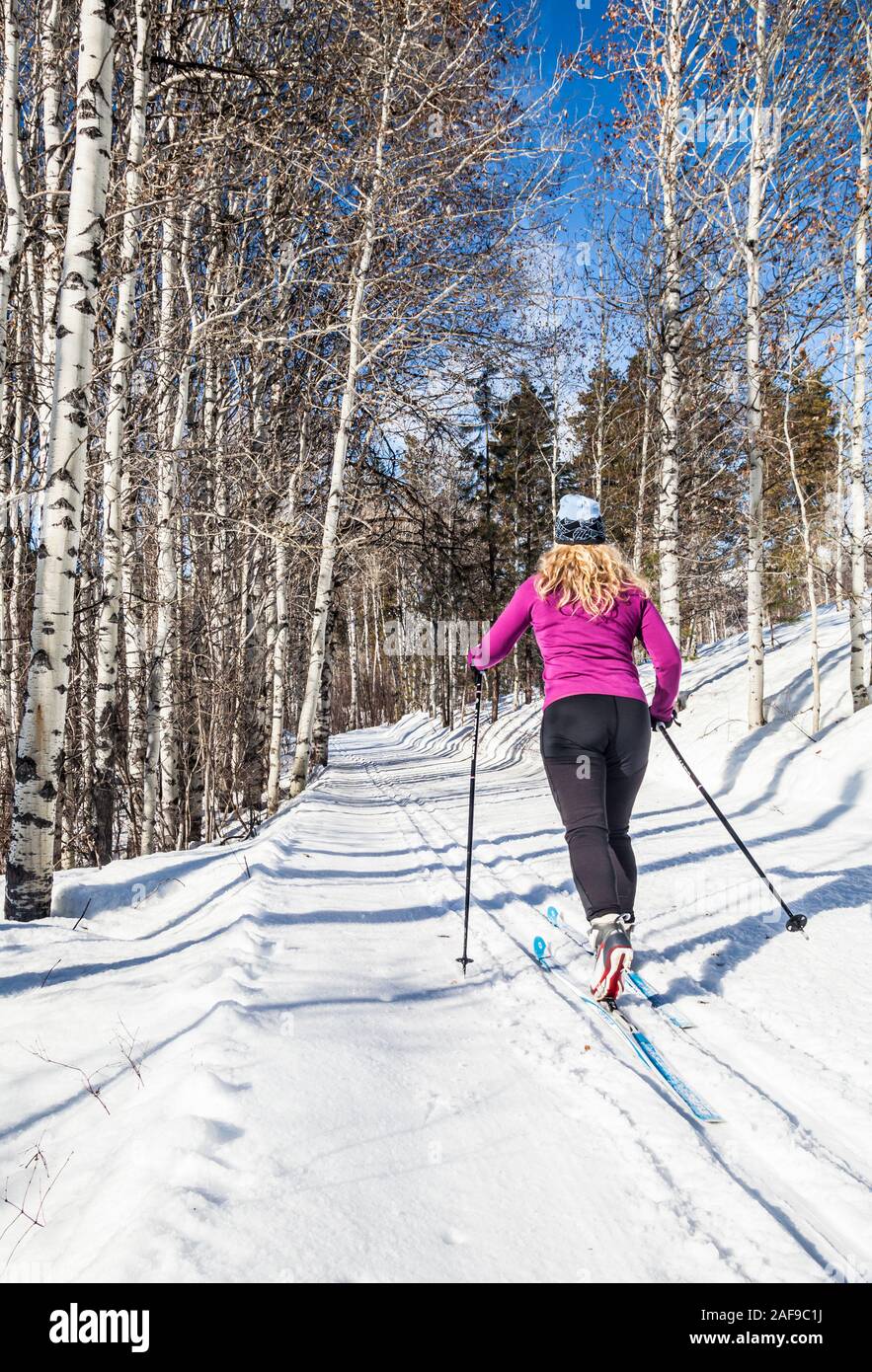 Eine Frau Langlaufen auf den Loipen in der Nähe von Sun Mountain Lodge in der Methow Valley, Washington State, USA. Stockfoto