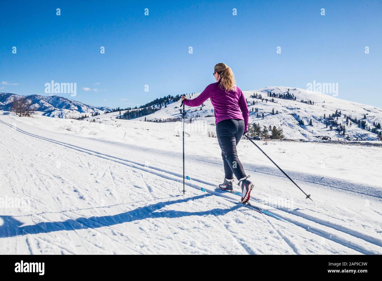 Eine Frau Langlaufen auf den Loipen in der Nähe von Sun Mountain Lodge in der Methow Valley, Washington State, USA. Stockfoto