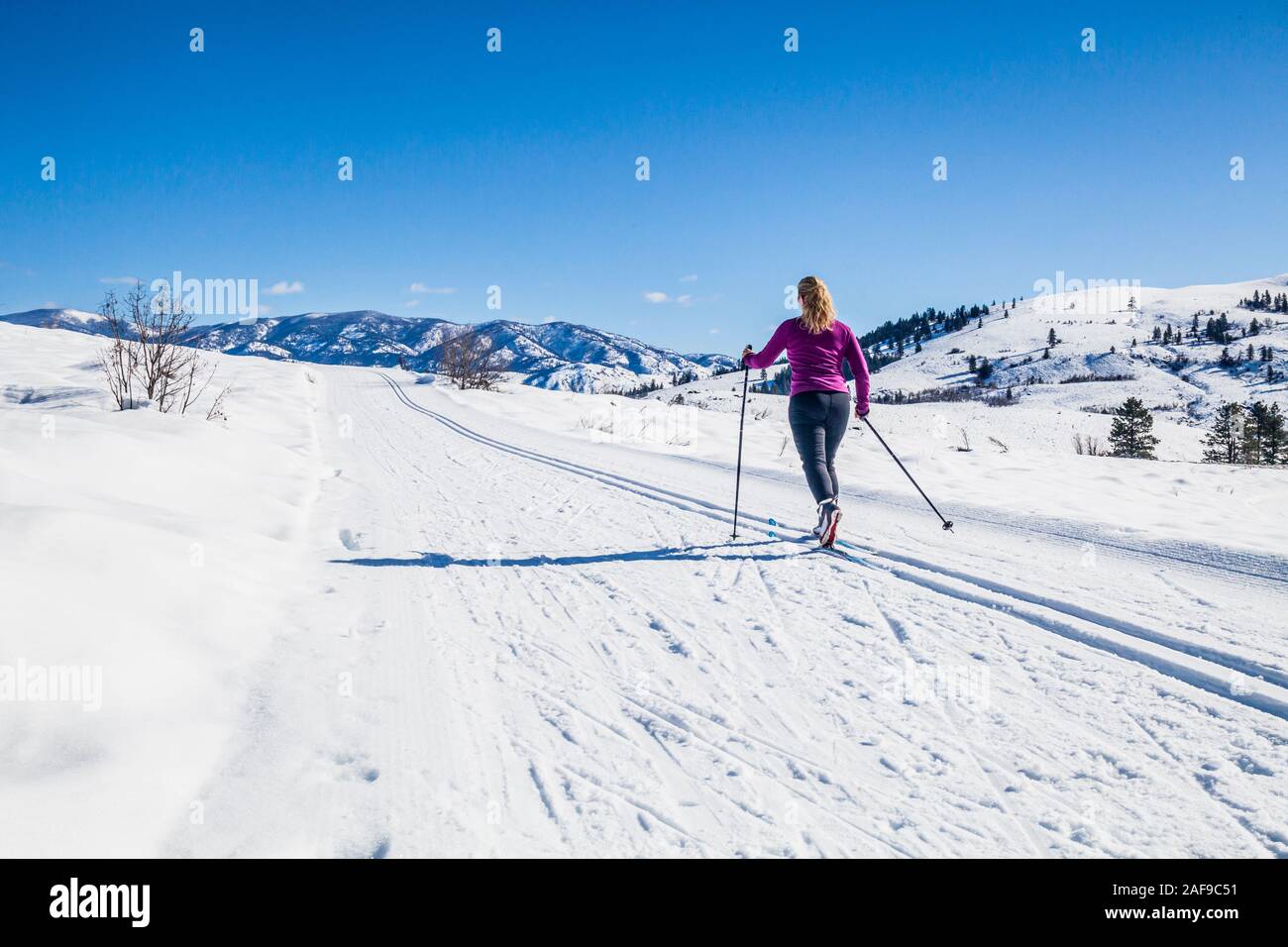 Eine Frau Langlaufen auf den Loipen in der Nähe von Sun Mountain Lodge in der Methow Valley, Washington State, USA. Stockfoto