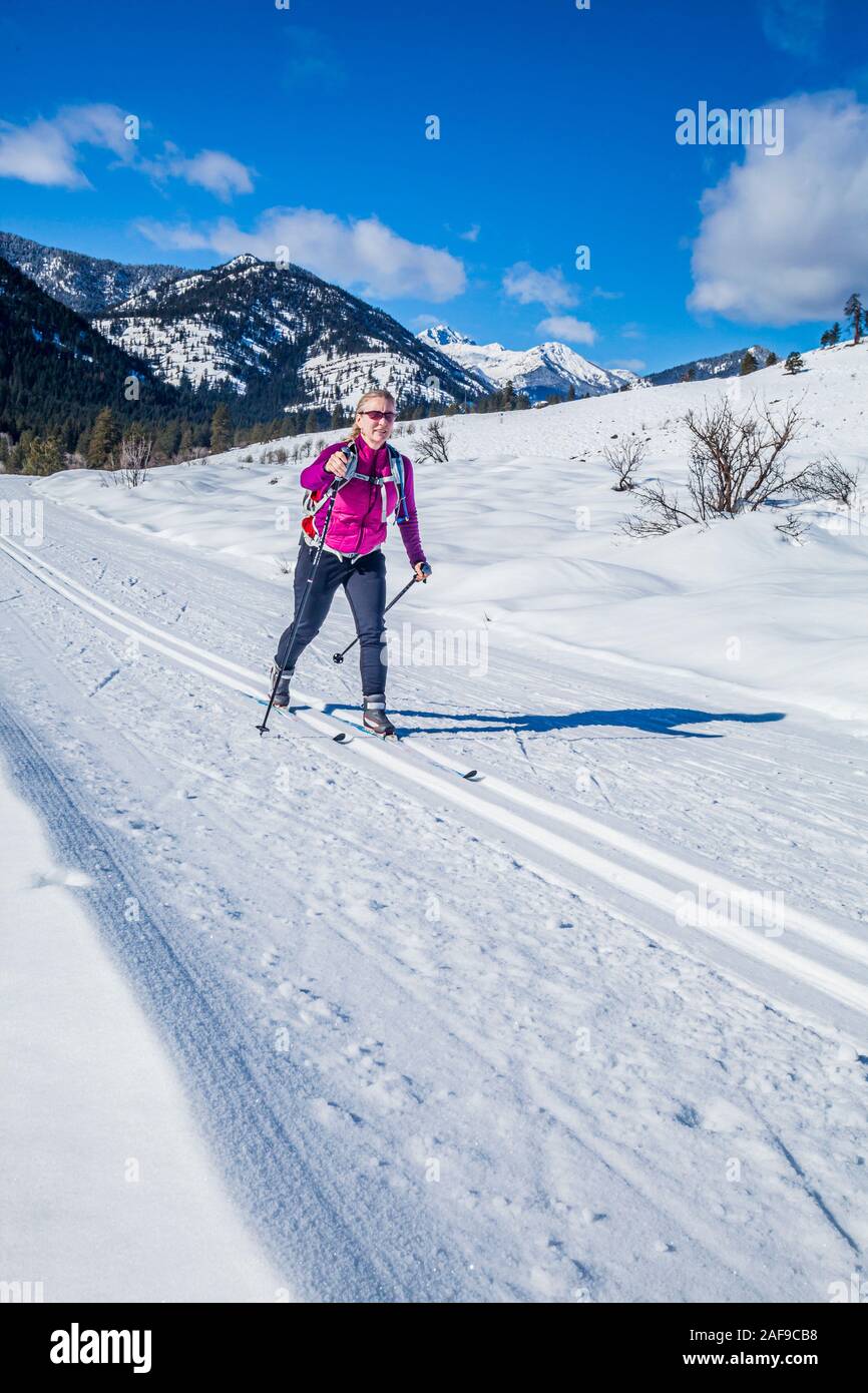 Eine Frau Langlaufen auf den Loipen in der Nähe von Sun Mountain Lodge in der Methow Valley, Washington State, USA. Stockfoto