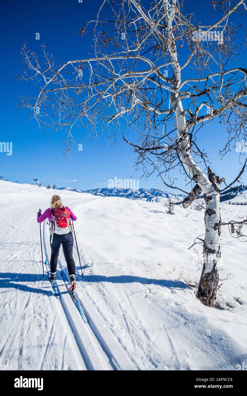 Eine Frau Langlaufen auf den Loipen in der Nähe von Sun Mountain Lodge in der Methow Valley, Washington State, USA. Stockfoto