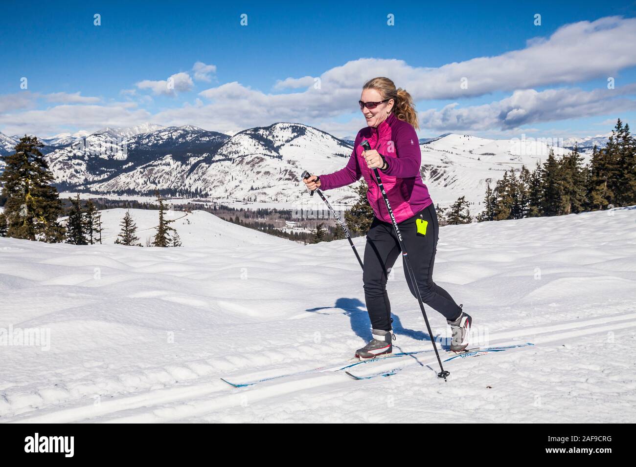 Eine Frau Langlaufen auf den Loipen in der Nähe von Sun Mountain Lodge in der Methow Valley, Washington State, USA. Stockfoto