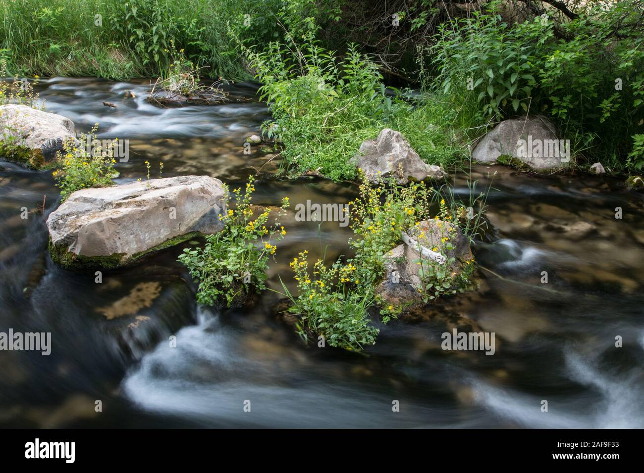 Eine langsame Kamera Verschlusszeit und lange Belichtung gibt die kleine Stromschnellen in Jones Creek im Dinosaur National Monument ein seidiges, Cotton-candy Aussehen. Stockfoto
