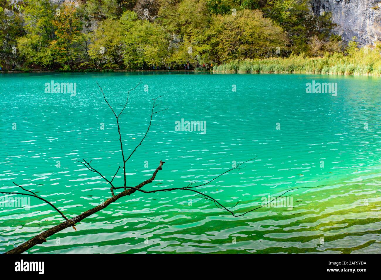 Nationalpark Plitvicer Seen (Plitvička Jezera) mit türkisfarbenen See, Kroatien Stockfoto