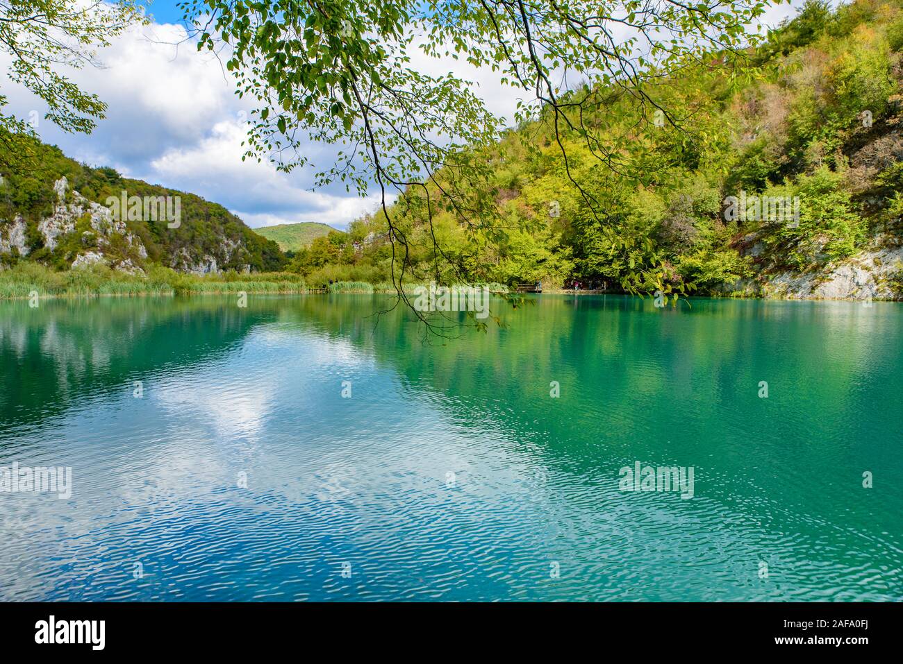 Nationalpark Plitvicer Seen (Plitvička Jezera) mit türkisfarbenen See, Kroatien Stockfoto