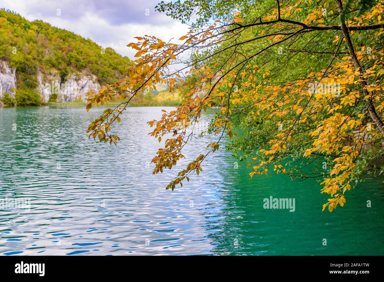 Nationalpark Plitvicer Seen (Plitvička Jezera) mit türkisfarbenen See, Kroatien Stockfoto