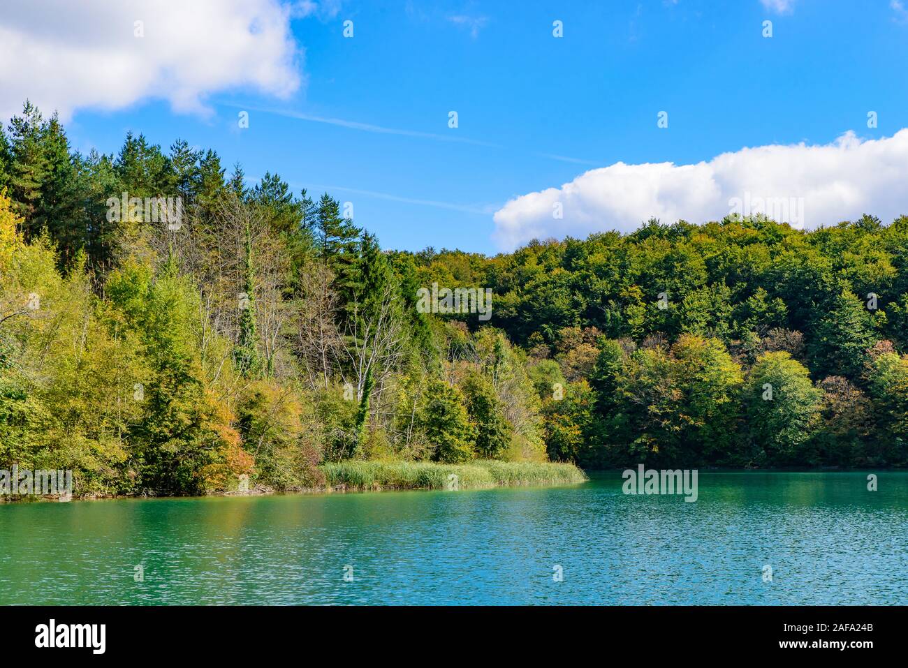 Nationalpark Plitvicer Seen (Plitvička Jezera) mit türkisfarbenen See, Kroatien Stockfoto
