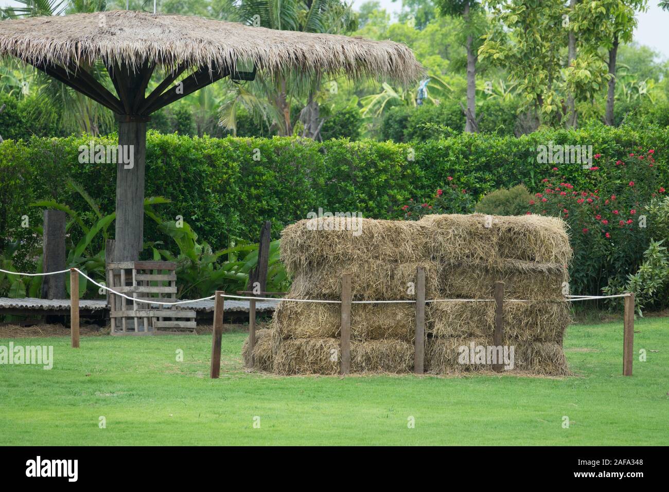 Stroh, kubische ein Haufen Stroh, trockenes Heu Stroh block cube Hintergrund Natur Stockfoto