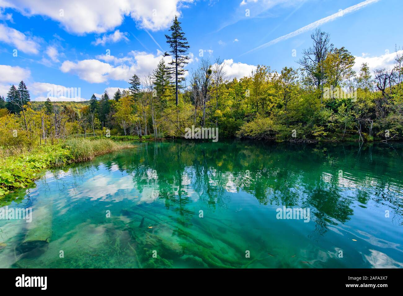 Nationalpark Plitvicer Seen (Plitvička Jezera) mit türkisfarbenen See, Kroatien Stockfoto