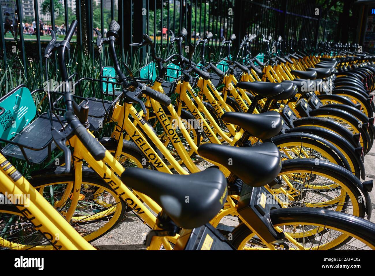 Linie der gelben teilt Leihfahrräder im Park in Sao Paulo, großen urbanen Zentrum in Brasilien Stockfoto