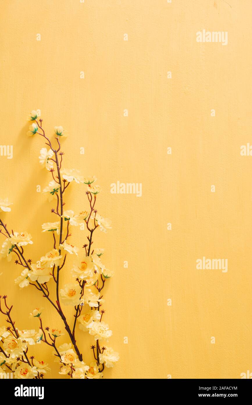 Neujahr Dekoration auf ein gelbes gold Hintergrund. Tet holiday Stockfoto