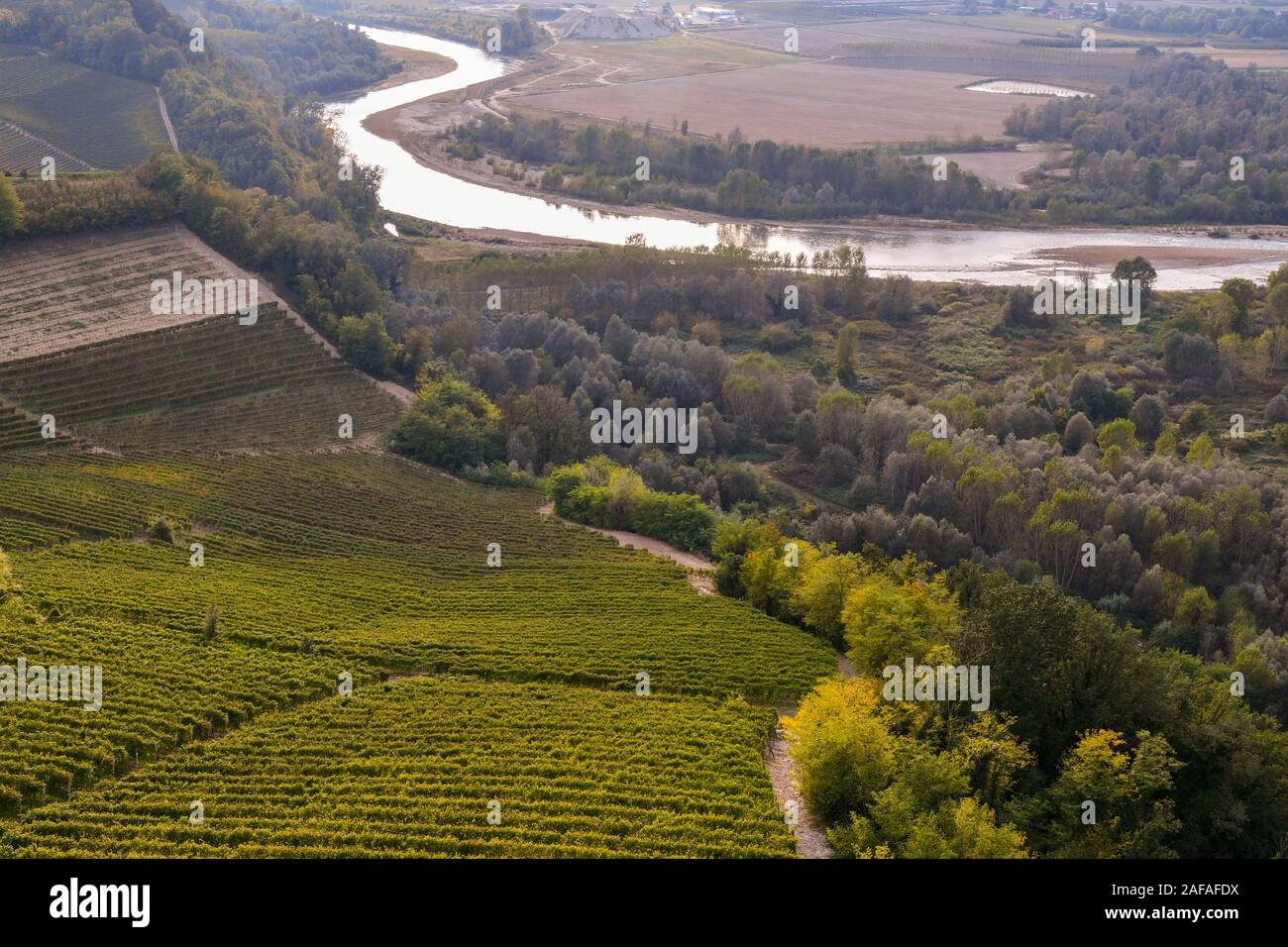 Erhöhte, Panoramablick auf das Tanaro in der Langhe Weinberg Hügel, UNESCO-Weltkulturerbe, im Herbst, Barbaresco, Cuneo, Piemont, Italien Stockfoto