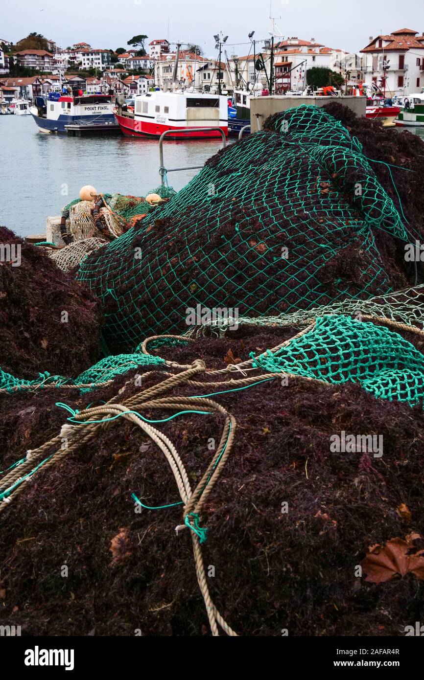 Fischernetze voll der roten Algen, Saint-Jean-de-Luz, Aquitanien, Frankreich Stockfoto