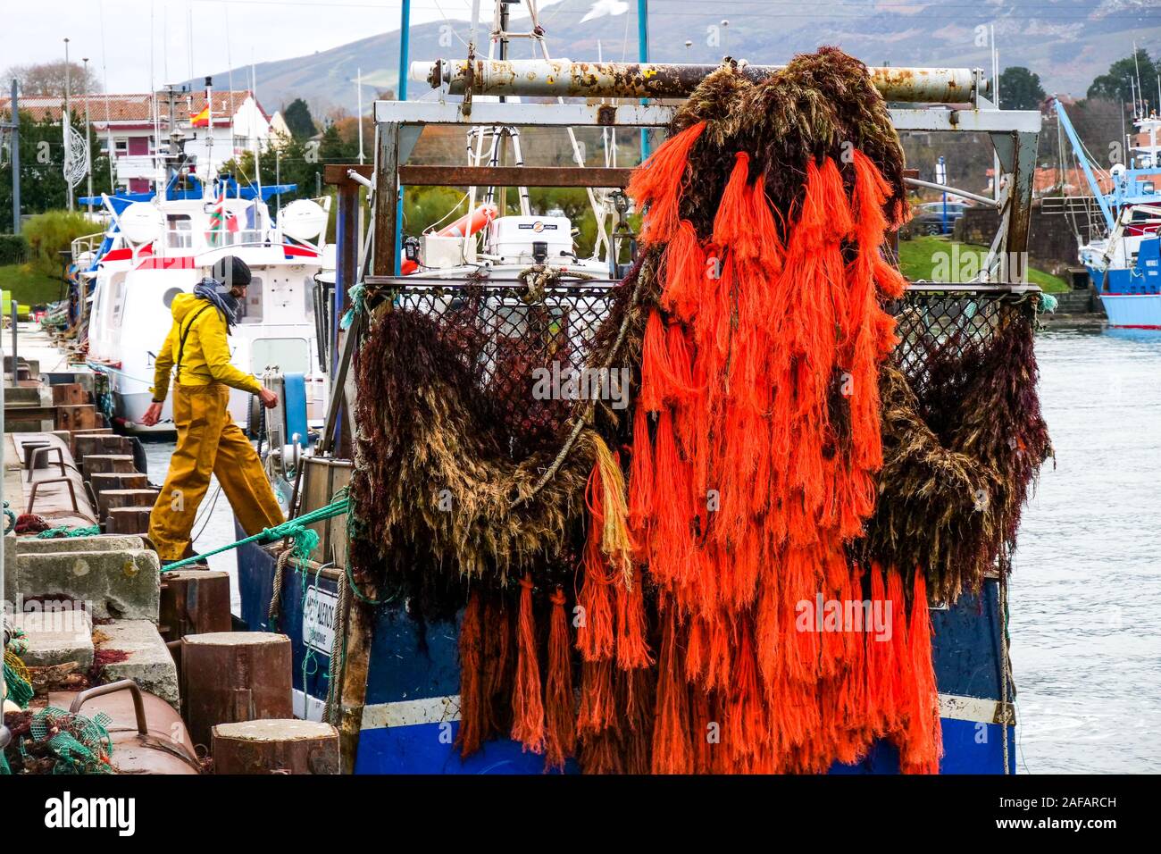 Entladen von Rotalgen, Fischerhafen von Saint-Jean-de-Luz, Aquitanien, Frankreich Stockfoto