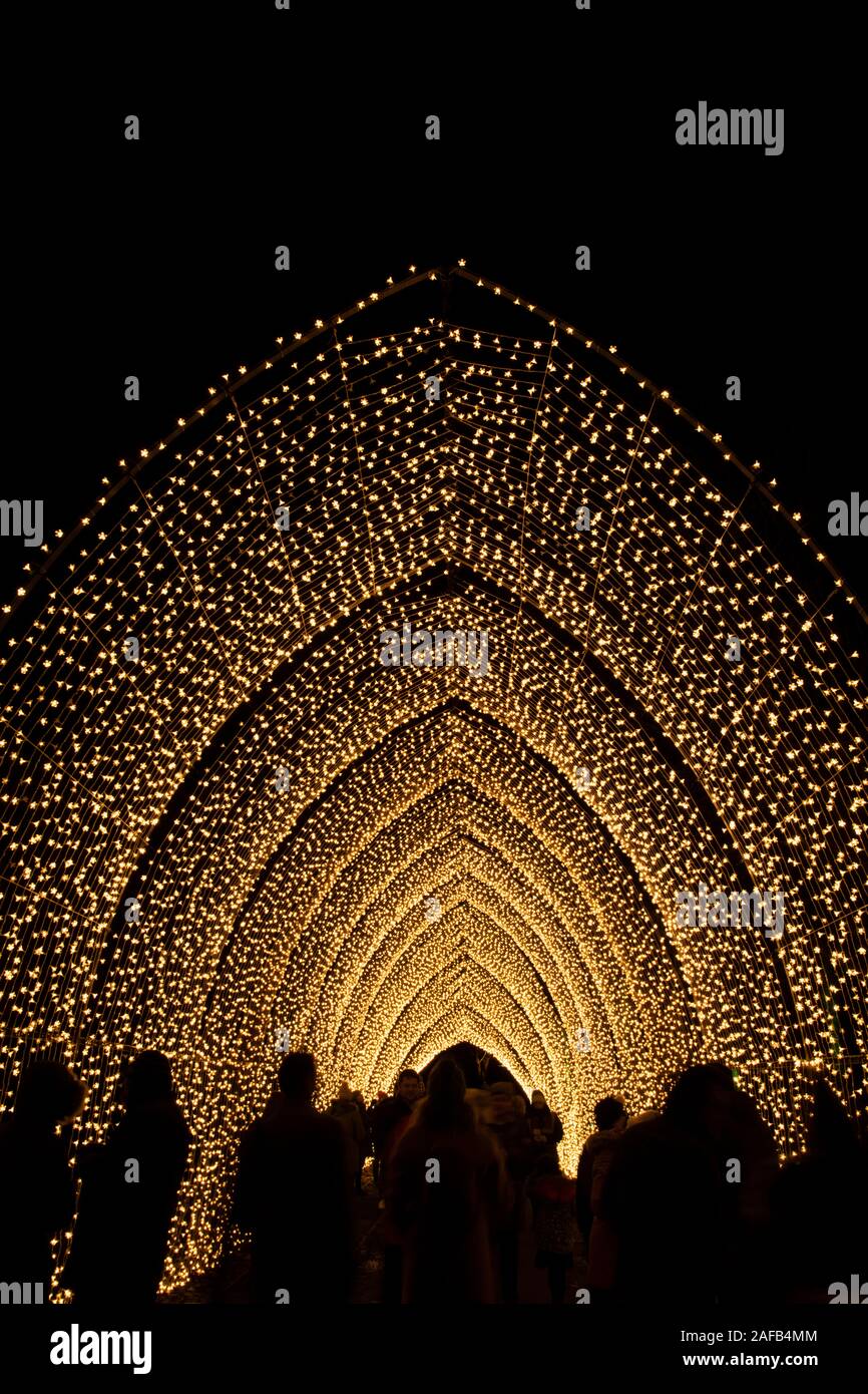 Die Kathedrale von Licht am 2019 Weihnachten Licht Anzeige an den Kew Gardens, London, UK Stockfoto