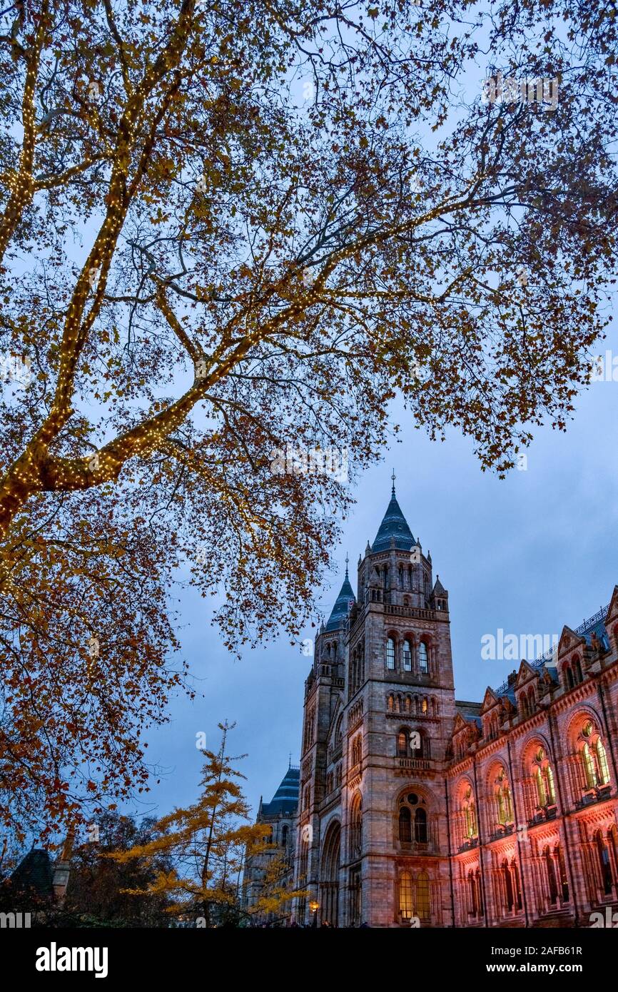 Natural History Museum, London, England, UK Stockfoto