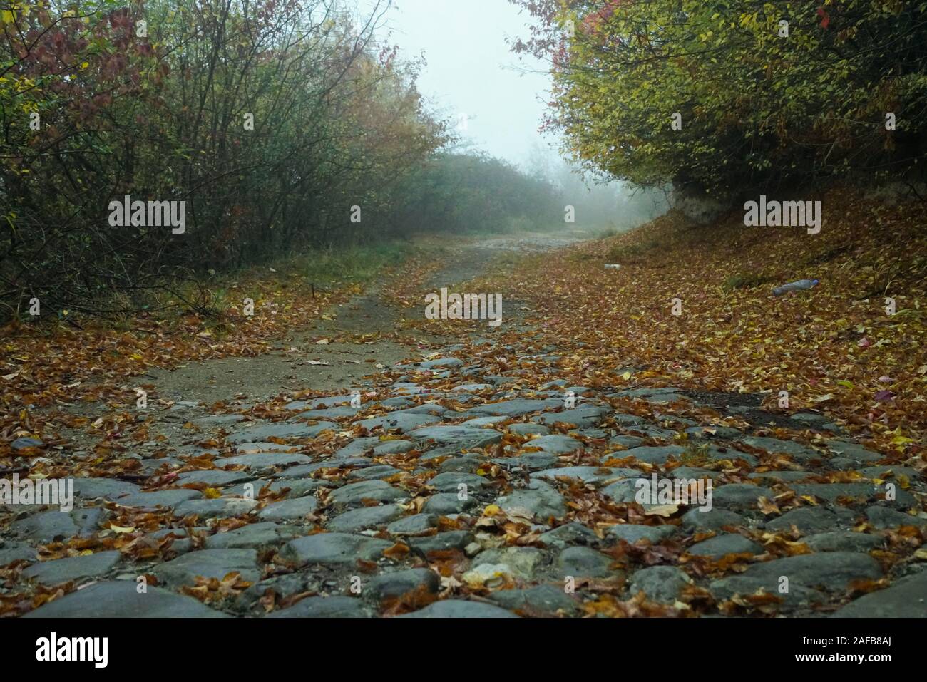 Straße im Herbst. Mistic nebeliger Morgen. Farbige Blätter im Boden. Stein Straße. Stockfoto