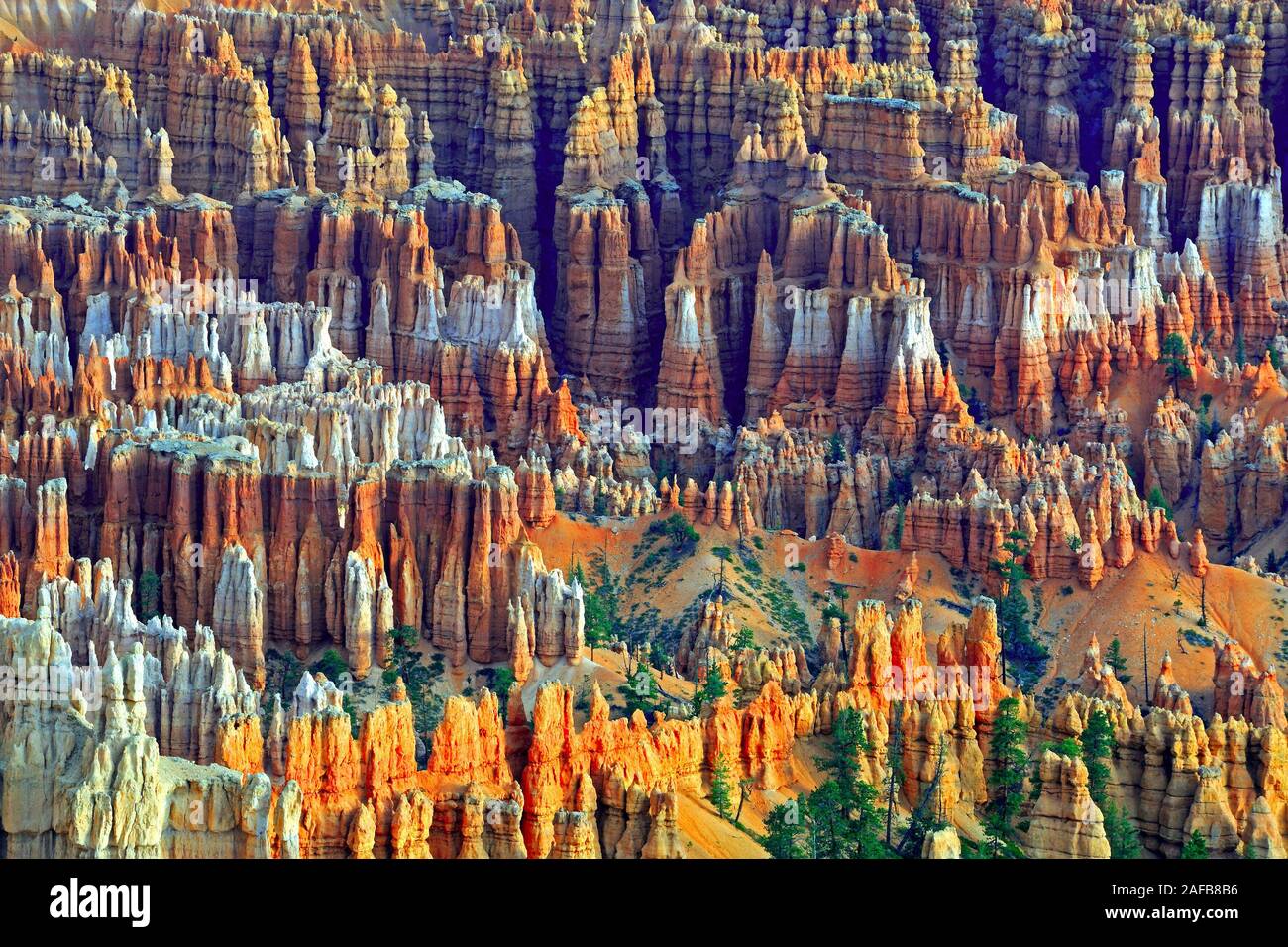 Felsformationen und Hoodoos, Bryce Canyon bei Sonnenaufgang, Bryce Point, Utah, Suedwesten, USA Stockfoto