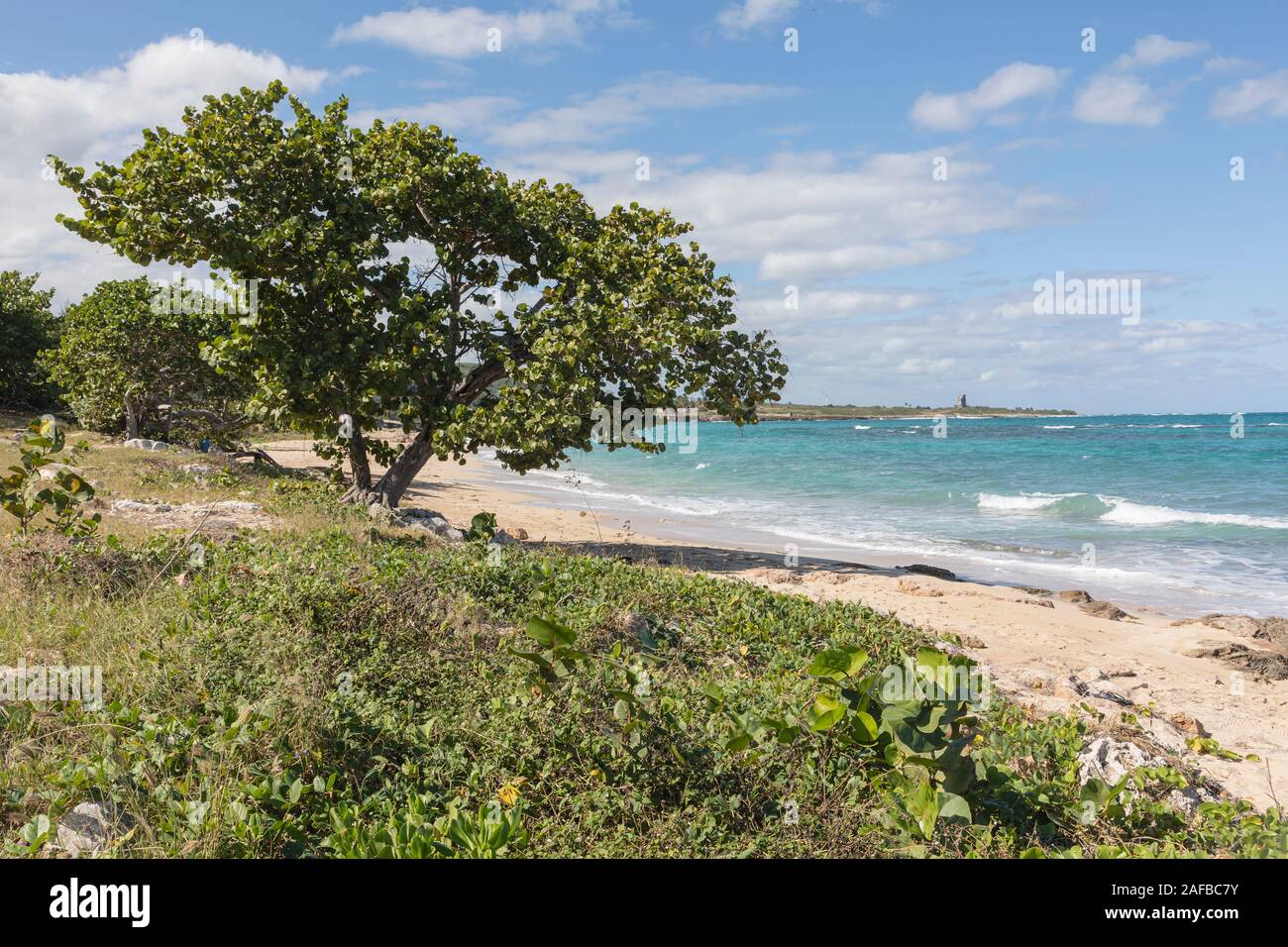 Jibacoa Mayabeque, Santa Cruz del Norte, Kuba, Nordamerika Stockfoto