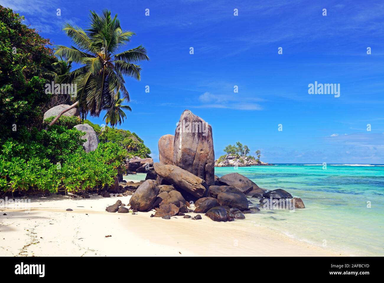 Kokospalmen und Granitfelsen am Traumstrand Anse Royal, Insel Mahe, Seychellen Stockfoto