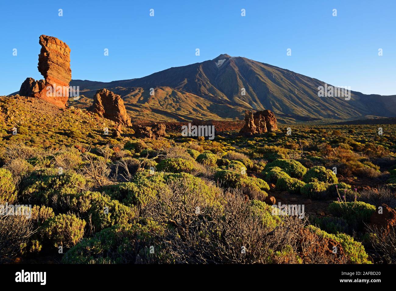 Roques de Garcia, Pico del Teide, Las Canadas, bei Sonnenaufgang, Teide-Nationalpark, UNESCO Weltnaturerbe, Teneriffa, Spanien Stockfoto